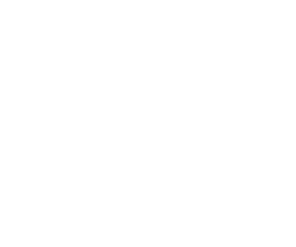 Vellwick